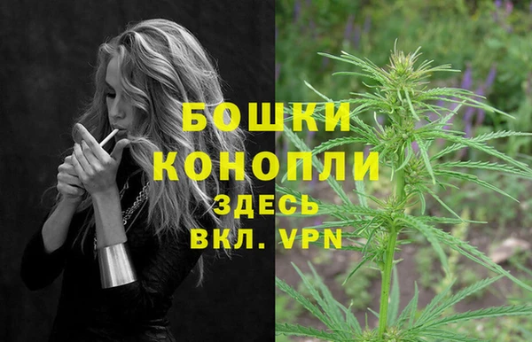 бутират Богданович