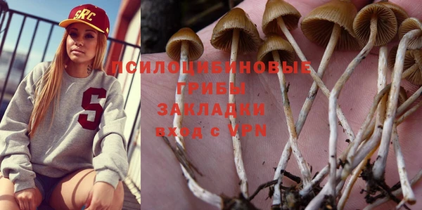 бутират Богданович
