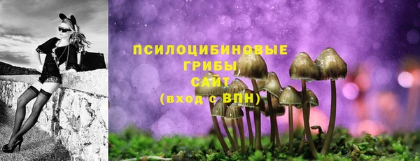 бутират Богданович