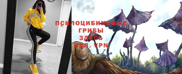 бутират Богданович