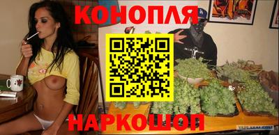 PSILOCYBIN Заволжье