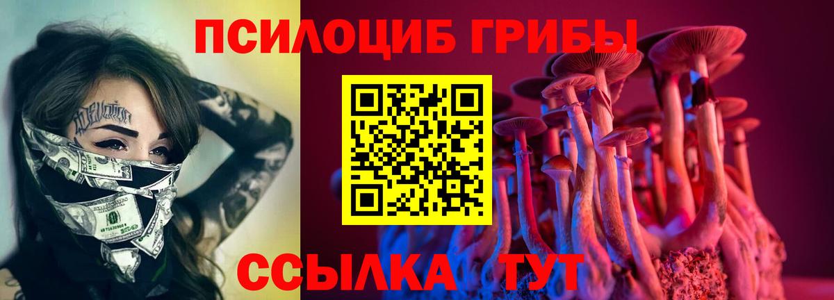 Галлюциногенные грибы Psilocybe Надым